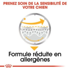 ROYAL CANIN Dermacomfort Pâté 12x85g -Magasin De Mode Pour Animaux Et Chiens fre pl ROYAL CANIN Dermacomfort Pate 12x85g 10092 6