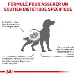 ROYAL CANIN Early Renal 2kg X2 -Magasin De Mode Pour Animaux Et Chiens fre pl ROYAL CANIN Early Renal 2kg x2 30657 4