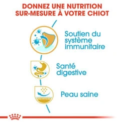 ROYAL CANIN French Bulldog Puppy 10kg -Magasin De Mode Pour Animaux Et Chiens fre pl ROYAL CANIN French Bulldog Puppy 10kg 15978 5