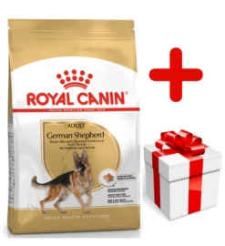 ROYAL CANIN German Shepherd Adult 11kg + Surprise Pour Votre Chien GRATUITES !