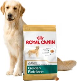 ROYAL CANIN Golden Retriever Adult 12kg + Surprise Pour Votre Chien GRATUITES ! -Magasin De Mode Pour Animaux Et Chiens fre pl ROYAL CANIN Golden Retriever Adult 12kg surprise pour votre chien GRATUITES 17874 3