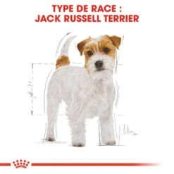 ROYAL CANIN Jack Russell Terrier Adult 1,5kg -Magasin De Mode Pour Animaux Et Chiens fre pl ROYAL CANIN Jack Russell Terrier Adult 1 5kg 16916 4