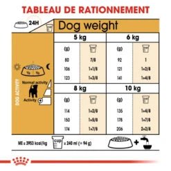 ROYAL CANIN Jack Russell Terrier Adult 1,5kg -Magasin De Mode Pour Animaux Et Chiens fre pl ROYAL CANIN Jack Russell Terrier Adult 1 5kg 16916 5