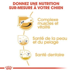 ROYAL CANIN Jack Russell Terrier Adult 500g -Magasin De Mode Pour Animaux Et Chiens fre pl ROYAL CANIN Jack Russell Terrier Adult 500g 16917 2