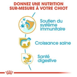ROYAL CANIN Jack Russell Terrier Puppy 1,5kg -Magasin De Mode Pour Animaux Et Chiens fre pl ROYAL CANIN Jack Russell Terrier Puppy 1 5kg 16919 4