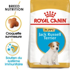 ROYAL CANIN Jack Russell Terrier Puppy 500g -Magasin De Mode Pour Animaux Et Chiens fre pl ROYAL CANIN Jack Russell Terrier Puppy 500g 15346 2