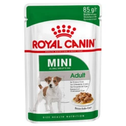 Magasin De Mode Pour Animaux Et Chiens -Magasin De Mode Pour Animaux Et Chiens fre pl ROYAL CANIN Mini Adult 12x85g 9817 2