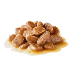 ROYAL CANIN Mini Ageing 12+ 12x85g -Magasin De Mode Pour Animaux Et Chiens fre pl ROYAL CANIN Mini Ageing 12 12x85g 9818 4