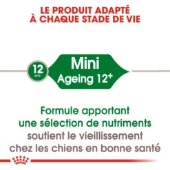 ROYAL CANIN Mini Ageing 12+ 800g -Magasin De Mode Pour Animaux Et Chiens fre pl ROYAL CANIN Mini Ageing 12 800g 9336 4