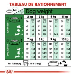 ROYAL CANIN Mini Ageing 12+ 800g -Magasin De Mode Pour Animaux Et Chiens fre pl ROYAL CANIN Mini Ageing 12 800g 9336 5
