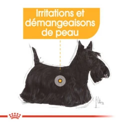 ROYAL CANIN Mini Dermacomfort 8kg + Hector Gratuit -Magasin De Mode Pour Animaux Et Chiens fre pl ROYAL CANIN Mini Dermacomfort 8kg hector gratuit 29933 5