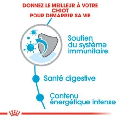 ROYAL CANIN Mini Puppy 2kg -Magasin De Mode Pour Animaux Et Chiens fre pl ROYAL CANIN Mini Puppy 2kg 16162 4