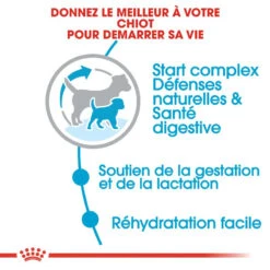 ROYAL CANIN Mini Starter 1kg -Magasin De Mode Pour Animaux Et Chiens fre pl ROYAL CANIN Mini Starter 1kg 16088 4