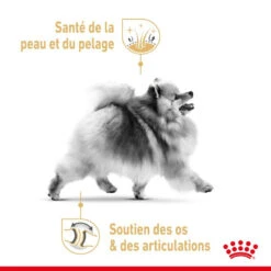 ROYAL CANIN Pomeranian Adult 1,5kg X2 -Magasin De Mode Pour Animaux Et Chiens fre pl ROYAL CANIN Pomeranian Adult 1 5kg x2 30742 3