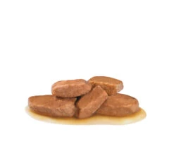 ROYAL CANIN Renal 12x100g -Magasin De Mode Pour Animaux Et Chiens fre pl ROYAL CANIN Renal 12x100g 12954 2