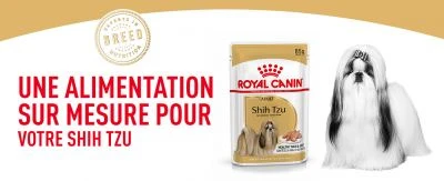 ROYAL CANIN Shih Tzu Adult 12x85g 2 ROYAL CANIN Shih Tzu Adult 12x85g – Image 2