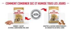 ROYAL CANIN Shih Tzu Adult 12x85g 9 ROYAL CANIN Shih Tzu Adult 12x85g -Magasin De Mode Pour Animaux Et Chiens fre pl ROYAL CANIN Shih Tzu Adult 12x85g 12522 5