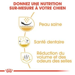 ROYAL CANIN Shih Tzu Adult 7,5 Kg 9 ROYAL CANIN Shih Tzu Adult 7,5 Kg -Magasin De Mode Pour Animaux Et Chiens fre pl ROYAL CANIN Shih Tzu Adult 7 5 kg 16133 5