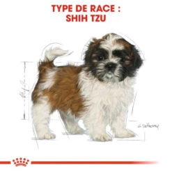 ROYAL CANIN Shih Tzu Puppy 500g -Magasin De Mode Pour Animaux Et Chiens fre pl ROYAL CANIN Shih Tzu Puppy 500g 9496 2