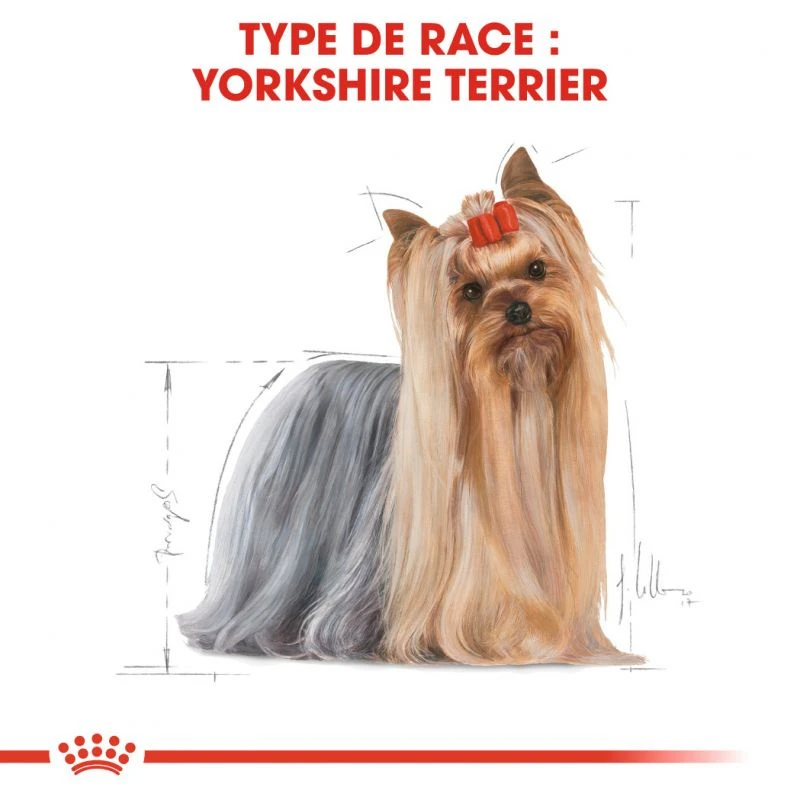 ROYAL CANIN Yorkshire Terrier Adult 3kg 3 ROYAL CANIN Yorkshire Terrier Adult 3kg – Image 3