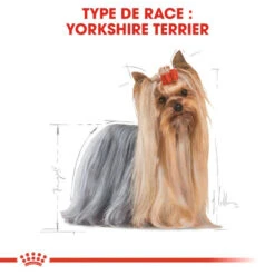 ROYAL CANIN Yorkshire Terrier Adult 7,5kg 8 ROYAL CANIN Yorkshire Terrier Adult 7,5kg -Magasin De Mode Pour Animaux Et Chiens fre pl ROYAL CANIN Yorkshire Terrier Adult 7 5kg 16161 4