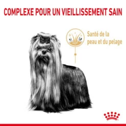 ROYAL CANIN Yorkshire Terrier Adult 8+ 1,5kg -Magasin De Mode Pour Animaux Et Chiens fre pl ROYAL CANIN Yorkshire Terrier Adult 8 1 5kg 12529 6