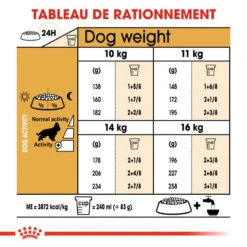 Royal Canin Cocker Spaniel Adult 12kg -Magasin De Mode Pour Animaux Et Chiens fre pl Royal Canin Cocker Spaniel Adult 12kg 9147 5