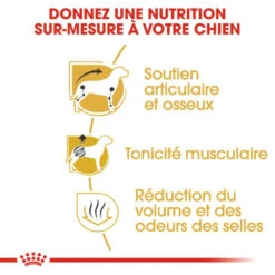 Royal Canin Dachshund Adult 7,5kg -Magasin De Mode Pour Animaux Et Chiens fre pl Royal Canin Dachshund Adult 7 5kg 9149 4