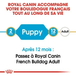 Royal Canin French Bulldog Puppy 1kg -Magasin De Mode Pour Animaux Et Chiens fre pl Royal Canin French Bulldog Puppy 1kg 9189 4