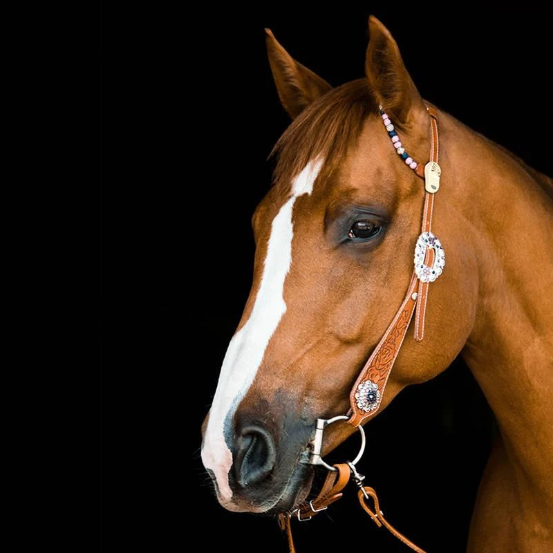 TickLess Cheval Sans Tique - Marron 3 TickLess Cheval Sans Tique - Marron – Image 3