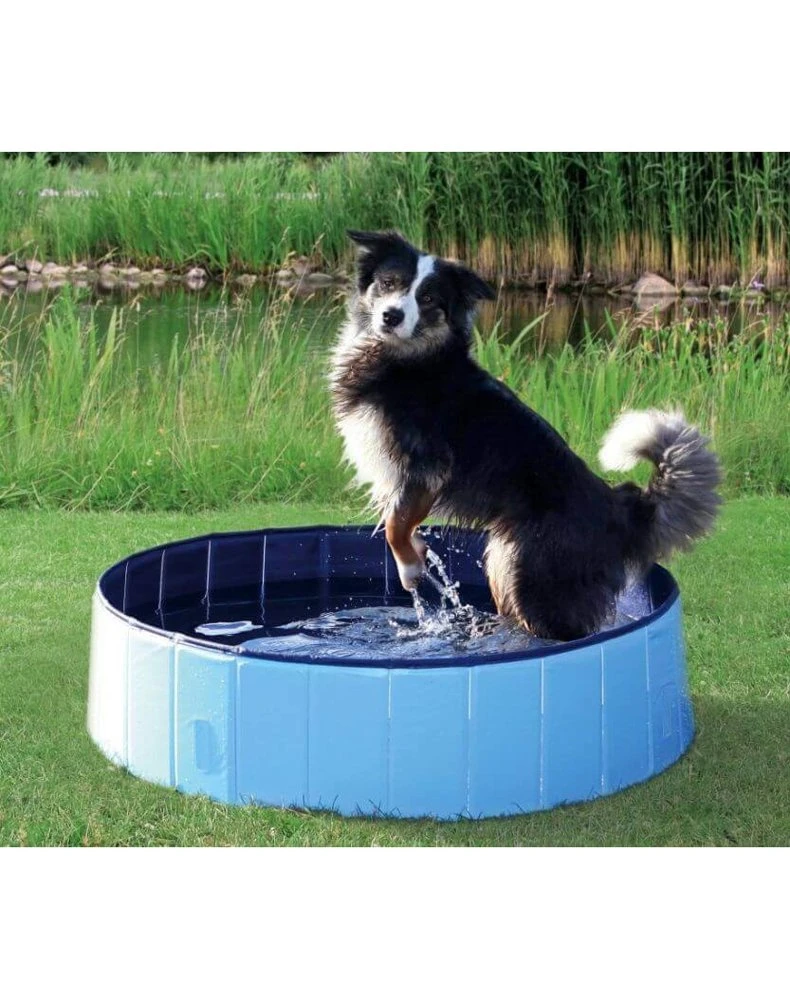 Trixie Piscine Pour Chien 80x20cm 1 Trixie Piscine Pour Chien 80x20cm