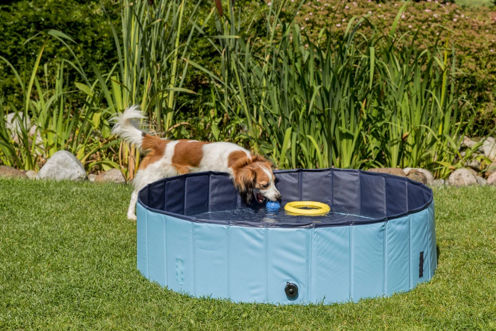Trixie Piscine Pour Chien 80x20cm 5 Trixie Piscine Pour Chien 80x20cm – Image 5