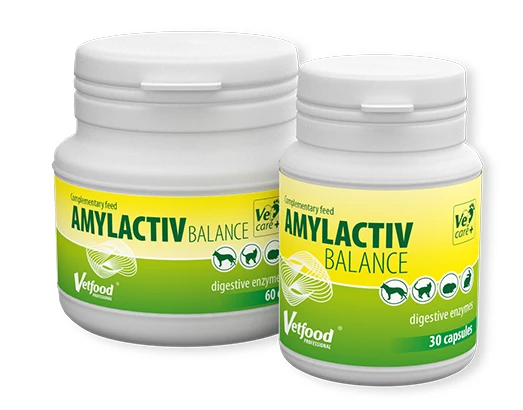 VETFOOD Amylactiv Balance 30 Comprimés 1 VETFOOD Amylactiv Balance 30 Comprimés