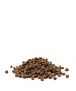 Versele-Laga Opti Life Puppy Mini Avec Poulet Pour Petites Races 2,5kg -Magasin De Mode Pour Animaux Et Chiens fre pl Versele Laga Opti Life Puppy Mini avec poulet pour petites races 2 5kg 17019 3