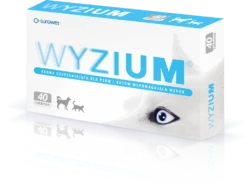 Wyzium 2x20 Comprimés
