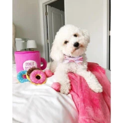 ZIPPY PAWS- Café Avec Donuts -Magasin De Mode Pour Animaux Et Chiens fre pl ZIPPY PAWS Cafe avec donuts 29911 3