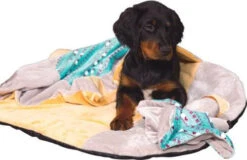 ZOLUX Jouet CHIQUITOS Paresseux Avec Ficelle -Magasin De Mode Pour Animaux Et Chiens fre pl ZOLUX Jouet CHIQUITOS paresseux avec ficelle 28850 3