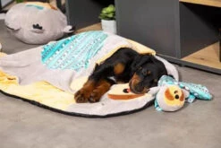 ZOLUX Jouet CHIQUITOS Paresseux Avec Ficelle -Magasin De Mode Pour Animaux Et Chiens fre pl ZOLUX Jouet CHIQUITOS paresseux avec ficelle 28850 4